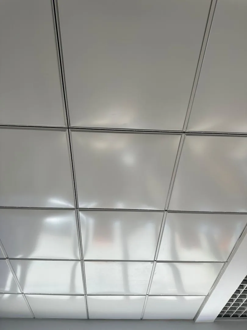 Lisse 600×600